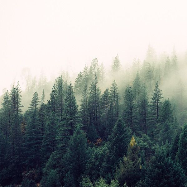 A Skin Cream That’s Proven To Work